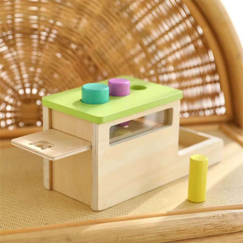 Baby Wooden Montessori Toys – Rectangular Box with Peg Drop for Vision Training, Color Sensory & Early Education Gifts