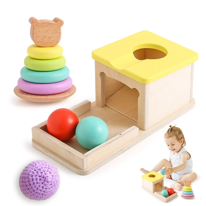 Baby Wooden Montessori Toys – Rectangular Box with Peg Drop for Vision Training, Color Sensory & Early Education Gifts
