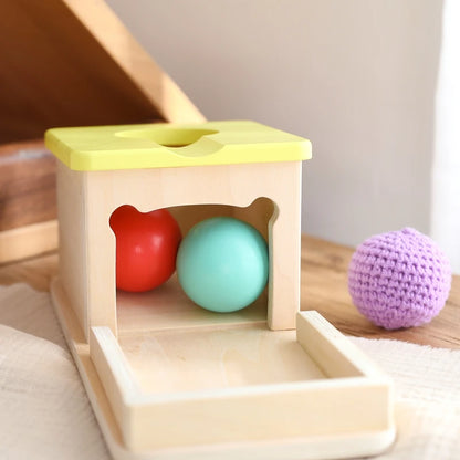 Baby Wooden Montessori Toys – Rectangular Box with Peg Drop for Vision Training, Color Sensory & Early Education Gifts