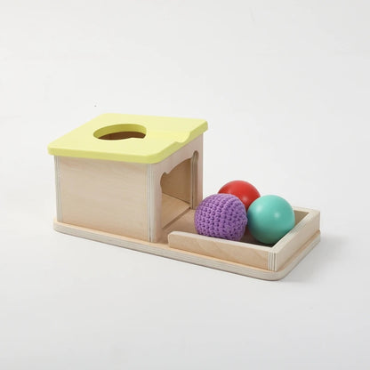 Baby Wooden Montessori Toys – Rectangular Box with Peg Drop for Vision Training, Color Sensory & Early Education Gifts