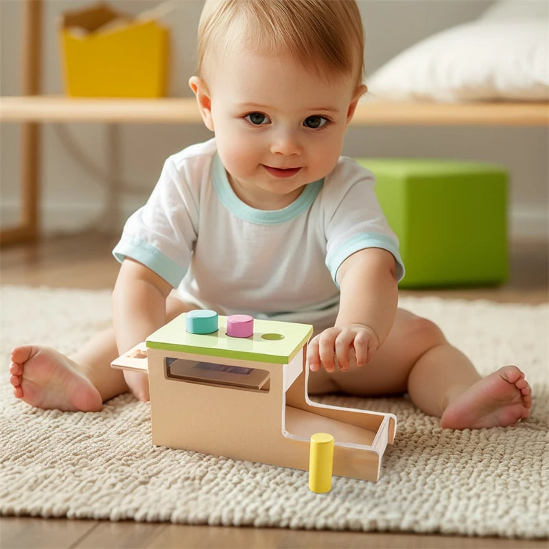 Baby Wooden Montessori Toys – Rectangular Box with Peg Drop for Vision Training, Color Sensory & Early Education Gifts