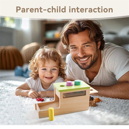 Baby Wooden Montessori Toys – Rectangular Box with Peg Drop for Vision Training, Color Sensory & Early Education Gifts