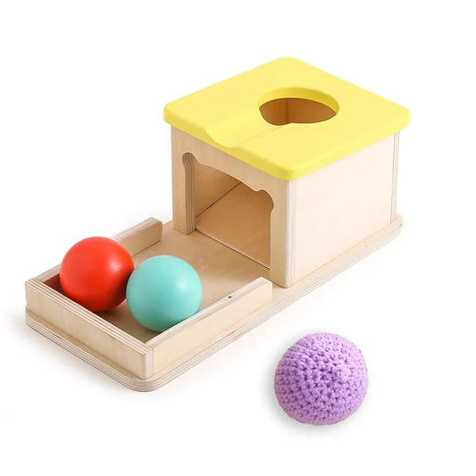 Baby Wooden Montessori Toys – Rectangular Box with Peg Drop for Vision Training, Color Sensory & Early Education Gifts