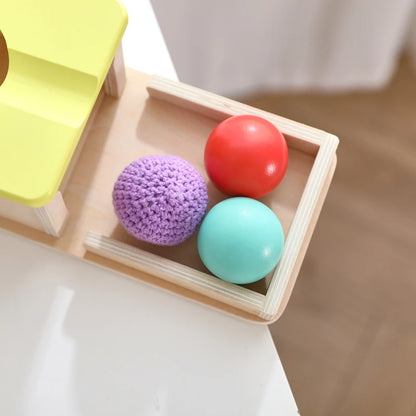 Baby Wooden Montessori Toys – Rectangular Box with Peg Drop for Vision Training, Color Sensory & Early Education Gifts