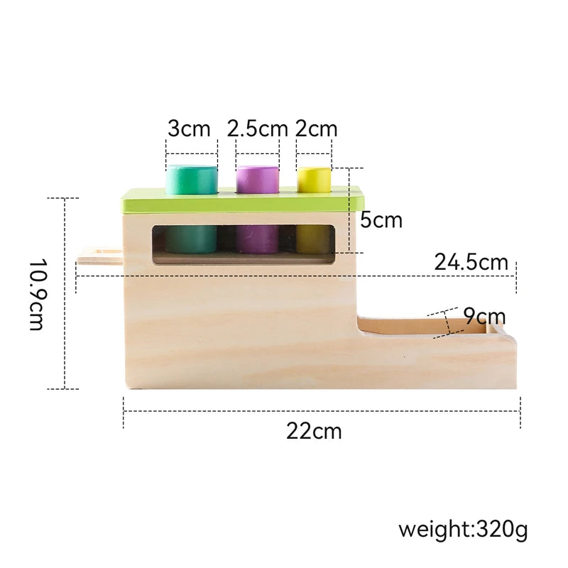 Baby Wooden Montessori Toys – Rectangular Box with Peg Drop for Vision Training, Color Sensory & Early Education Gifts
