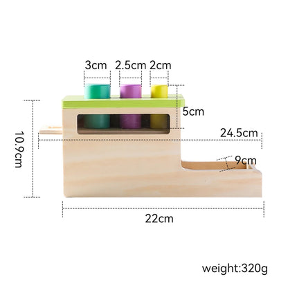 Baby Wooden Montessori Toys – Rectangular Box with Peg Drop for Vision Training, Color Sensory & Early Education Gifts