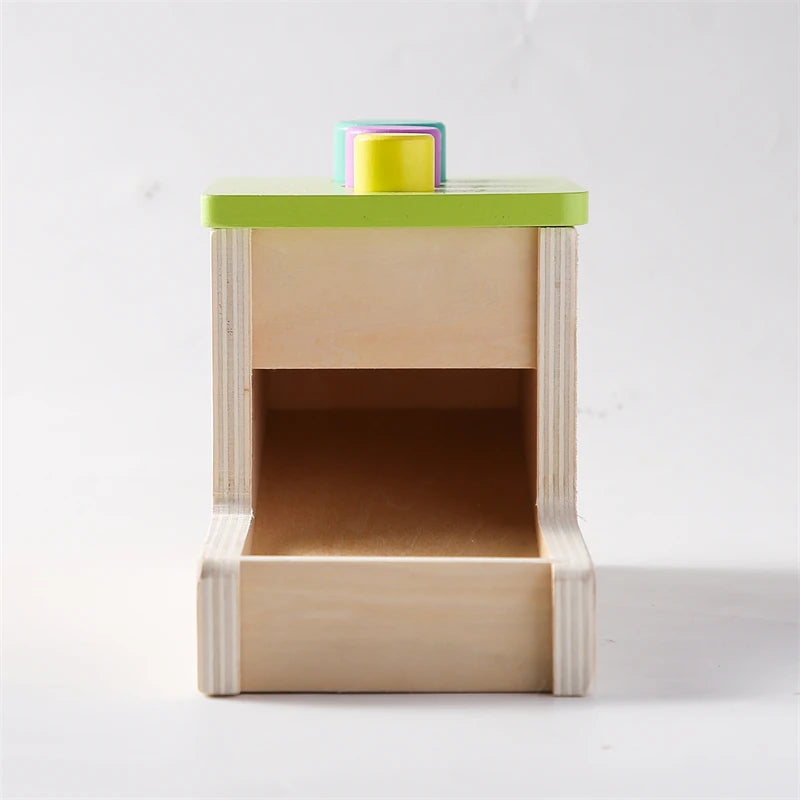 Baby Wooden Montessori Toys – Rectangular Box with Peg Drop for Vision Training, Color Sensory & Early Education Gifts