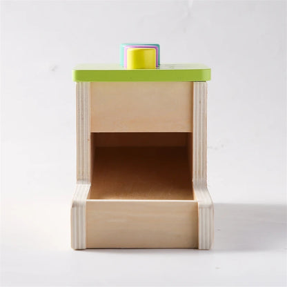 Baby Wooden Montessori Toys – Rectangular Box with Peg Drop for Vision Training, Color Sensory & Early Education Gifts