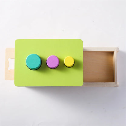 Baby Wooden Montessori Toys – Rectangular Box with Peg Drop for Vision Training, Color Sensory & Early Education Gifts