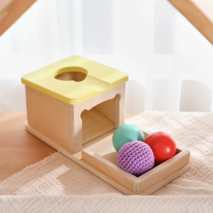 Baby Wooden Montessori Toys – Rectangular Box with Peg Drop for Vision Training, Color Sensory & Early Education Gifts