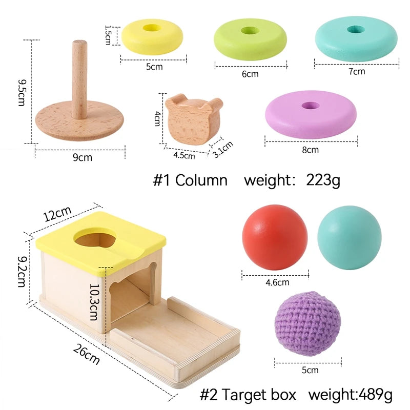 Baby Wooden Montessori Toys – Rectangular Box with Peg Drop for Vision Training, Color Sensory & Early Education Gifts