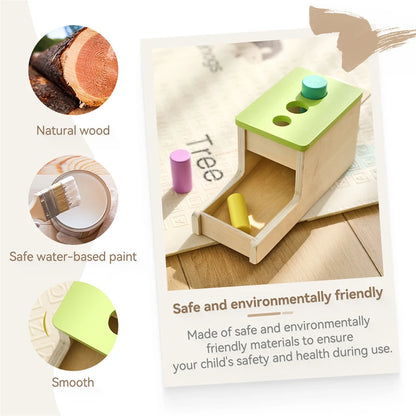 Baby Wooden Montessori Toys – Rectangular Box with Peg Drop for Vision Training, Color Sensory & Early Education Gifts