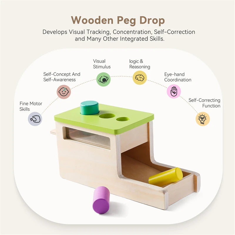 Baby Wooden Montessori Toys – Rectangular Box with Peg Drop for Vision Training, Color Sensory & Early Education Gifts