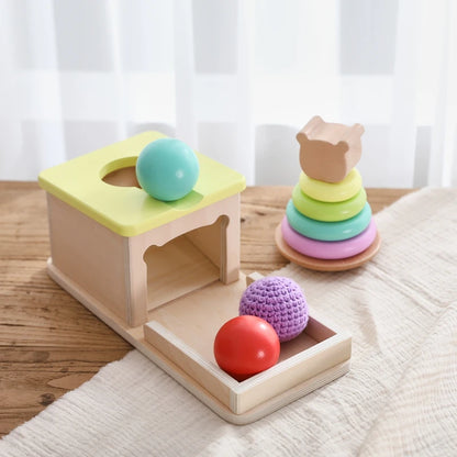 Baby Wooden Montessori Toys – Rectangular Box with Peg Drop for Vision Training, Color Sensory & Early Education Gifts