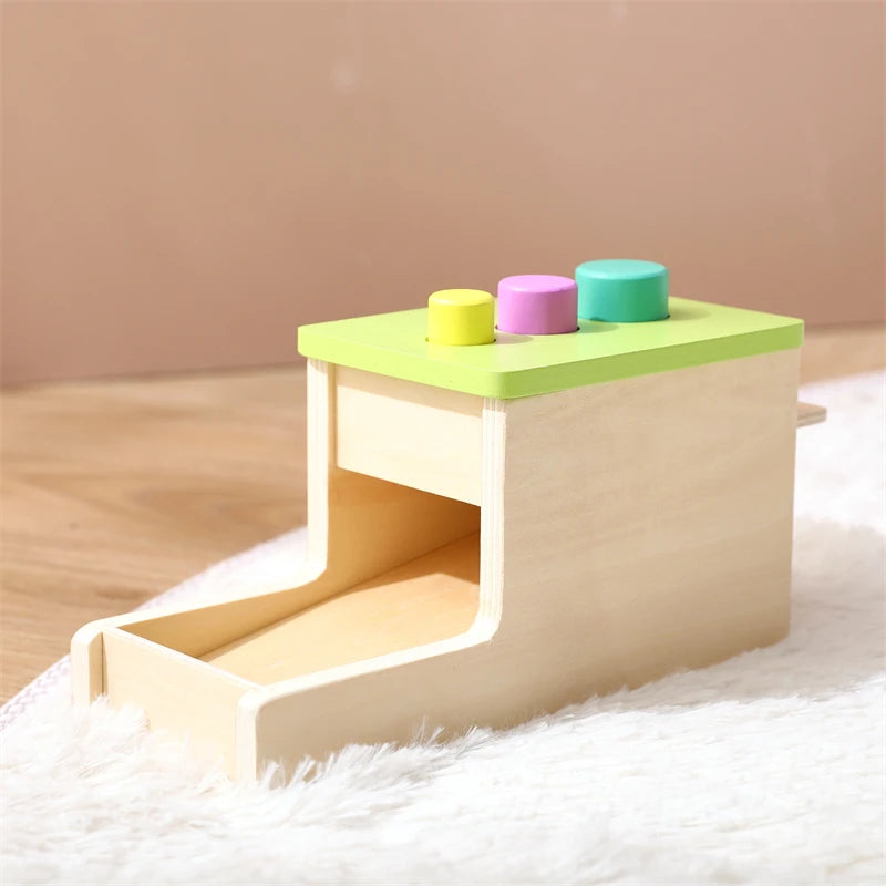 Baby Wooden Montessori Toys – Rectangular Box with Peg Drop for Vision Training, Color Sensory & Early Education Gifts