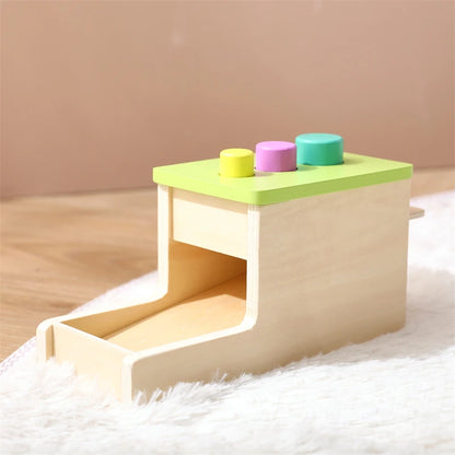 Baby Wooden Montessori Toys – Rectangular Box with Peg Drop for Vision Training, Color Sensory & Early Education Gifts
