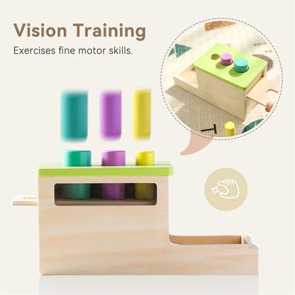 Baby Wooden Montessori Toys – Rectangular Box with Peg Drop for Vision Training, Color Sensory & Early Education Gifts